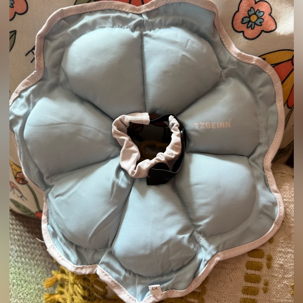 Light Blue Flower-Shaped Pet Cone XS NEW